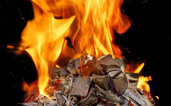 燃料發熱量檢測